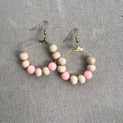 Teachers for Change Earrings